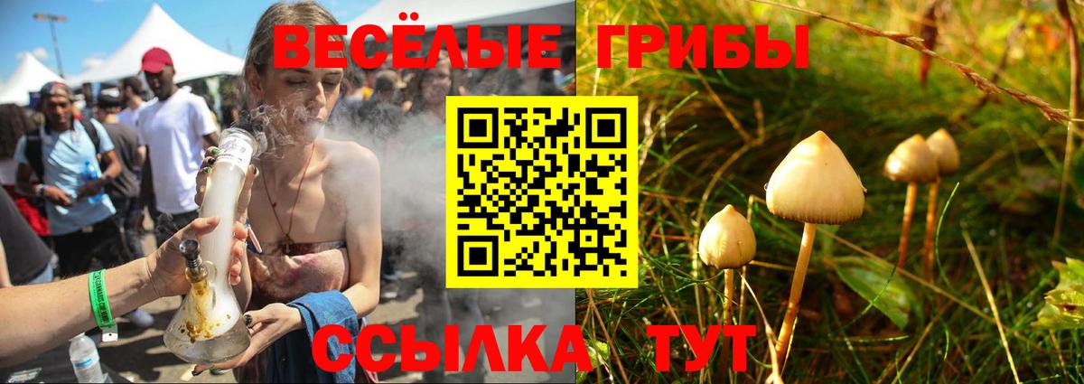 Псилоцибиновые грибы мухоморы Качканар