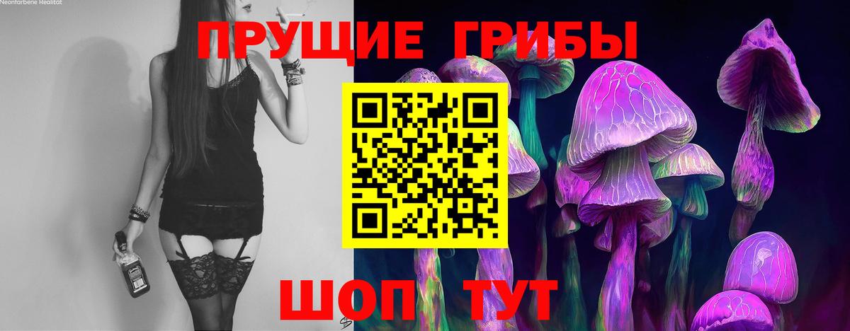 Качканар  Галлюциногенные грибы Magic Shrooms  Псилоцибиновые грибы Magic Shrooms  Вход с VPN 